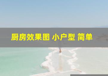 厨房效果图 小户型 简单